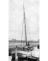 'Willemina Woutrina' in 1904